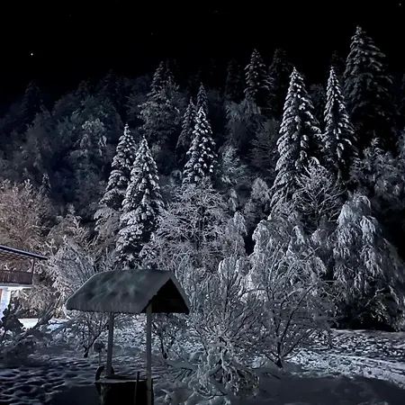 Heaven Sarajevo